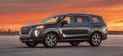 HYUNDAI PALISADE ÖRTÜSÜNÜ AÇTI