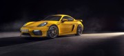 PORSCHE 718 AİLESİNE İKİ YENİ MODEL